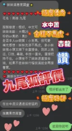 屏東定點茶-九尾狐：圖片