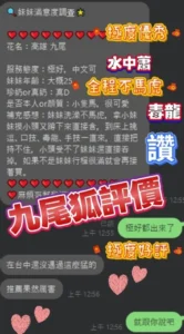 屏東定點茶-九尾狐：圖片 5