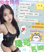 台中定點茶-陽光：圖片