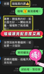台中定點茶-喵喵：圖片