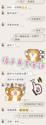台北定點茶-橘子：圖片