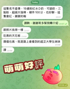 高雄定點茶-萌萌：圖片 4