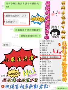 新竹定點茶-小蘿拉：圖片 6