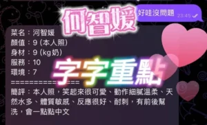 屏東定點茶-河智媛：圖片 4