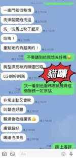 台東定點茶-貓咪：圖片