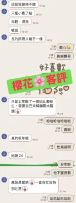 新北定點茶-櫻花：圖片