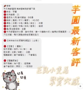 台南定點茶-芋圓：圖片 6