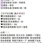 嘉義定點茶-白璐：圖片 10