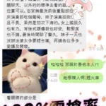 台北定點茶-Luna：圖片 6