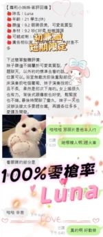台北定點茶-Luna：圖片