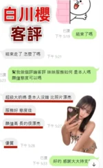 台中定點茶-白川櫻：圖片