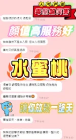南投定點茶-水蜜桃：圖片