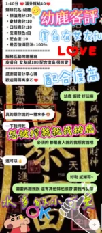 新竹定點茶-幼鹿：圖片