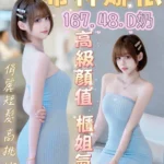 台中外送茶-希林娜依