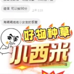 南投定點茶-小西米：圖片 3