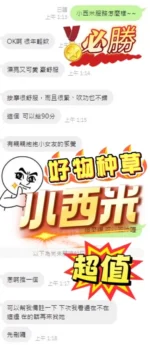 南投定點茶-小西米：圖片
