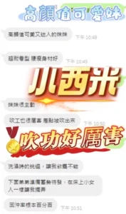 南投定點茶-小西米：圖片 4