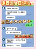 南投定點茶-小西米：圖片