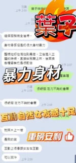 台中定點茶-葉子：圖片
