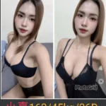 南投定點茶-小真