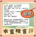 高雄定點茶-水蜜桃：圖片