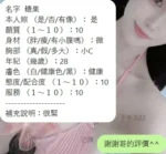 新竹定點茶-糖果：圖片