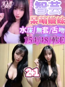 苗栗定點茶-智芸